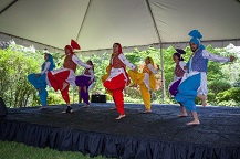 Bhangra by Virginia School of Bhangra, a premier Punjabi folk dance academy in Virginia
