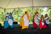 Bhangra by Virginia School of Bhangra, a premier Punjabi folk dance academy in Virginia.